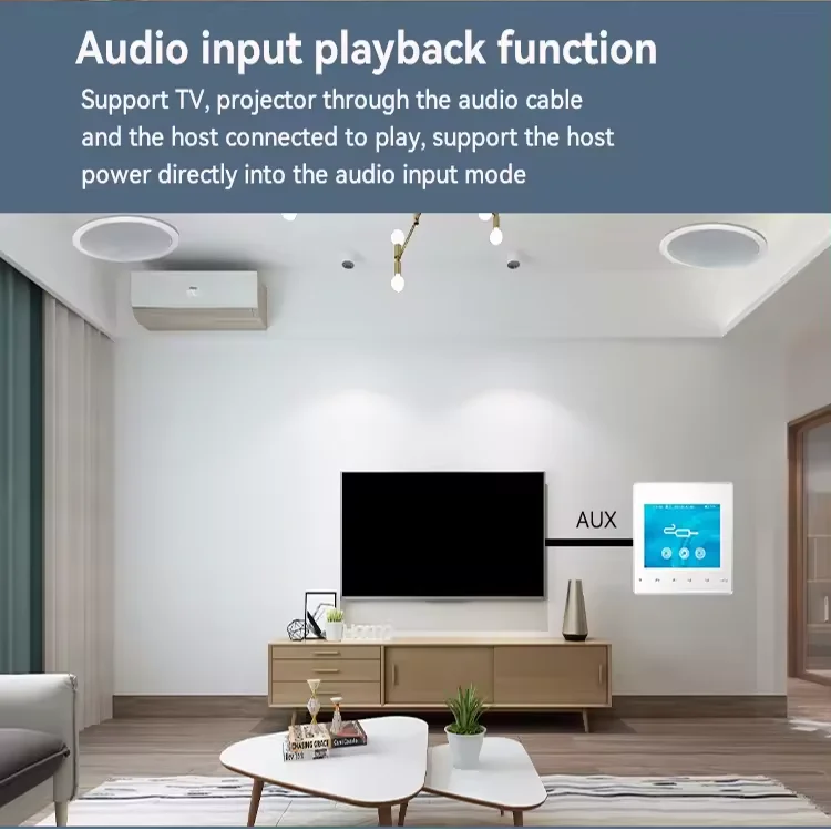 Home Bluetooth Wall Amplifier  - Audio Music System For Home 评论和价格