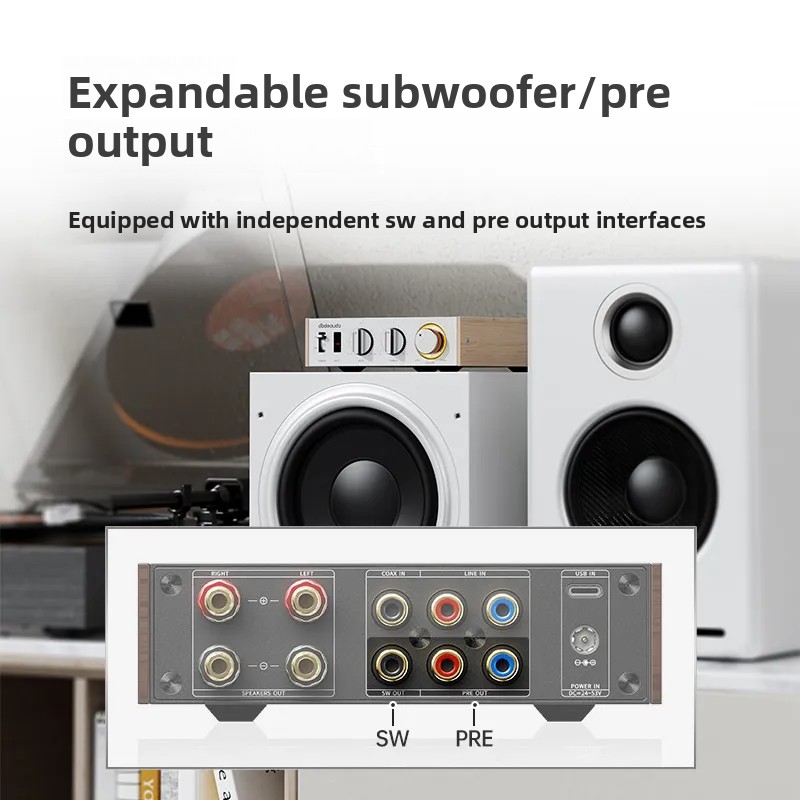 FiiO Horizon Level 1 High Powe - Audio Music System For Home 评论和价格