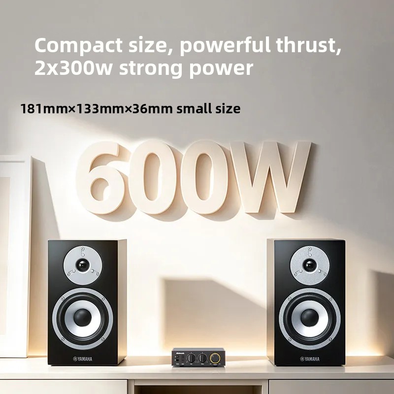 FiiO Horizon Level 1 High Powe - Audio Music System For Home 评论和价格