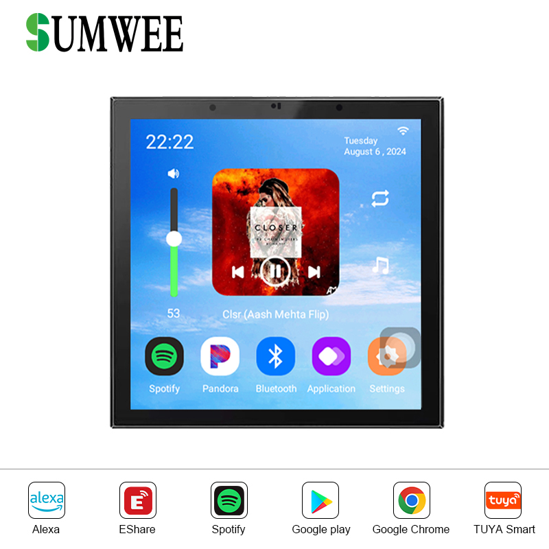 Home WIFI Smart Audio Wall Amp - Audio Music System For Home 评论和价格