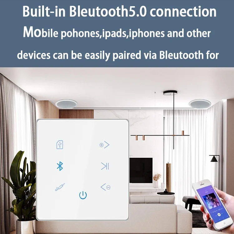 Bluetooth Wall Amplifier Home  - Audio Music System For Home 评论和价格